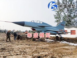 青海大型飞机模型